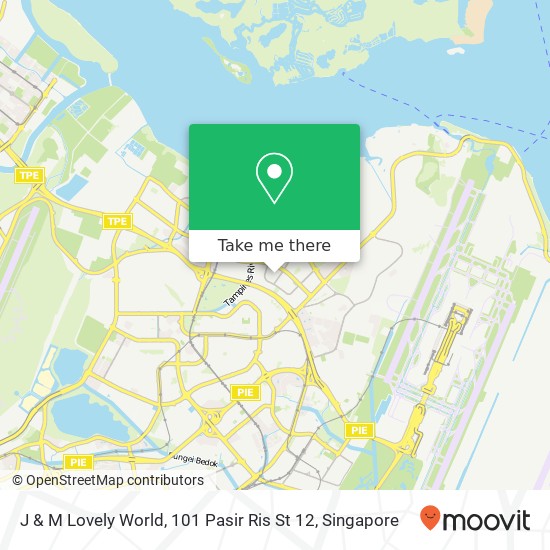 J & M Lovely World, 101 Pasir Ris St 12地图