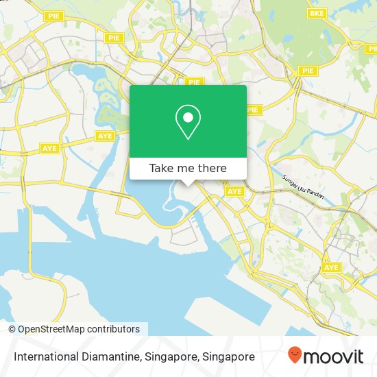 International Diamantine, Singapore地图