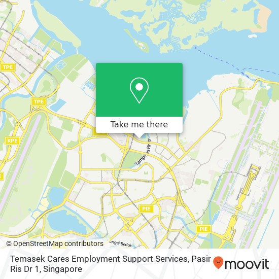 Temasek Cares Employment Support Services, Pasir Ris Dr 1 map