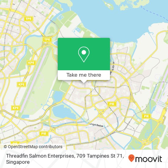 Threadfin Salmon Enterprises, 709 Tampines St 71 map