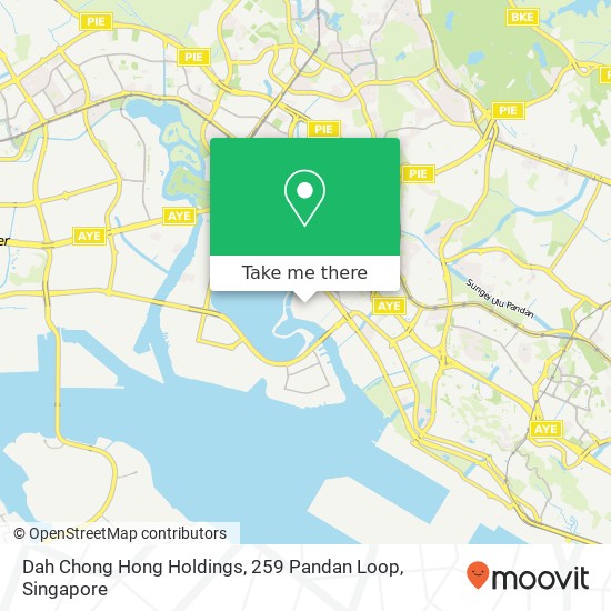 Dah Chong Hong Holdings, 259 Pandan Loop map