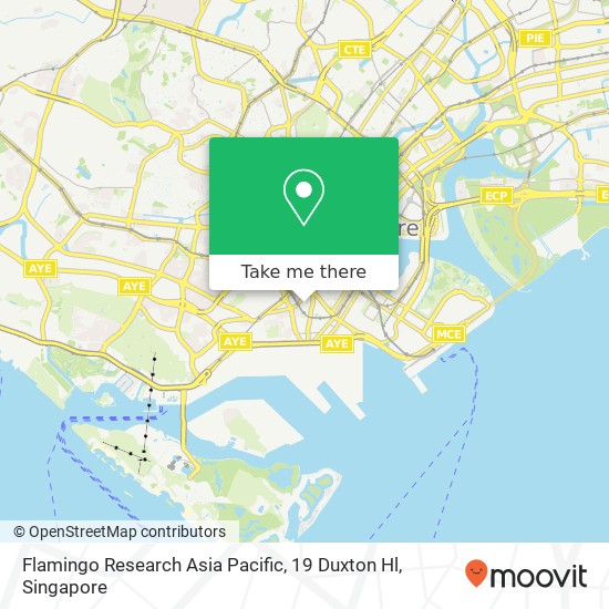 Flamingo Research Asia Pacific, 19 Duxton Hl地图