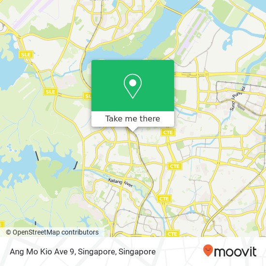 Ang Mo Kio Ave 9, Singapore map