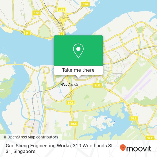 Gao Sheng Engineering Works, 310 Woodlands St 31地图