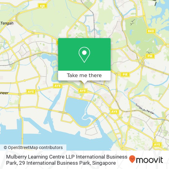 Mulberry Learning Centre LLP International Business Park, 29 International Business Park map
