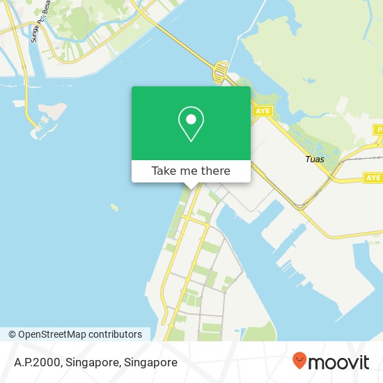 A.P.2000, Singapore map