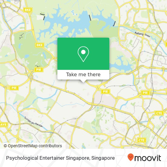 Psychological Entertainer Singapore地图