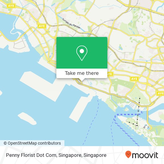 Penny Florist Dot Com, Singapore map