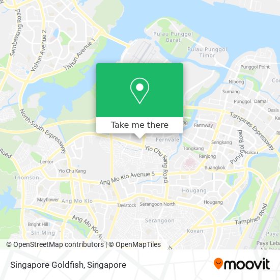 Singapore Goldfish map