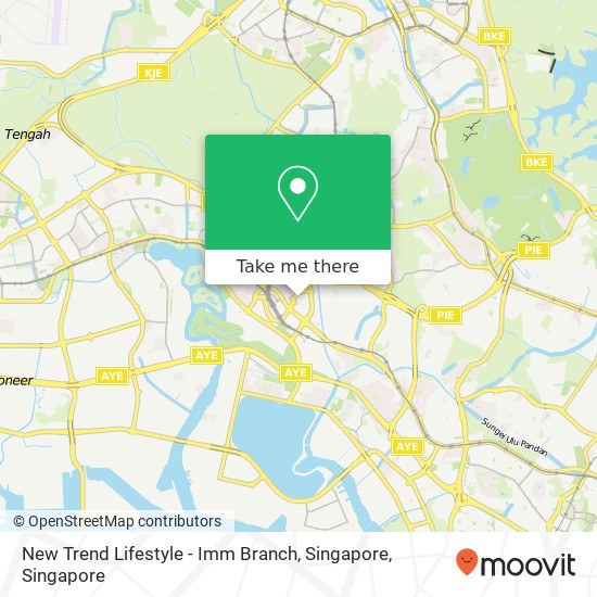 New Trend Lifestyle - Imm Branch, Singapore map