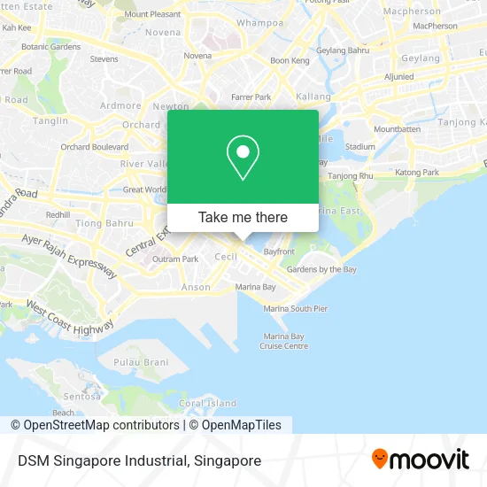 DSM Singapore Industrial地图