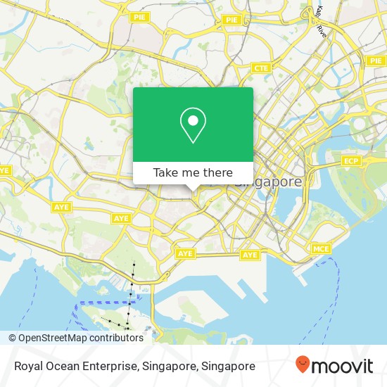 Royal Ocean Enterprise, Singapore map