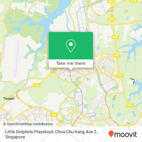 Little Dolphins Playskool, Choa Chu Kang Ave 2 map