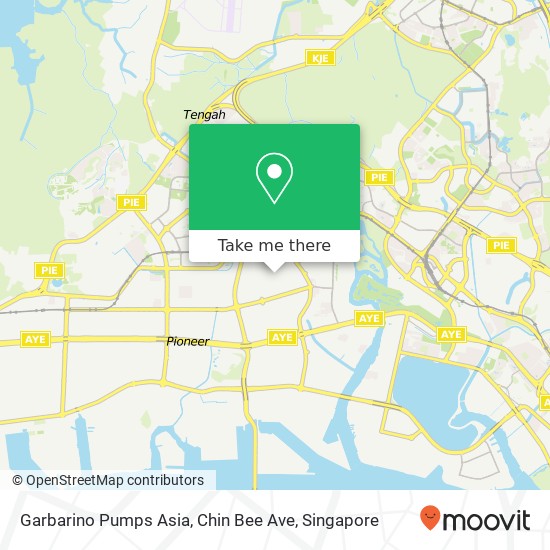 Garbarino Pumps Asia, Chin Bee Ave map