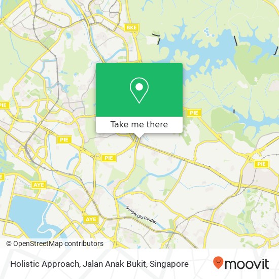 Holistic Approach, Jalan Anak Bukit地图