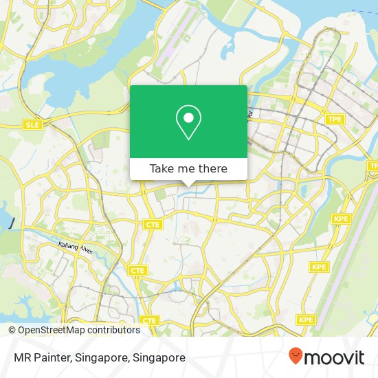 MR Painter, Singapore map