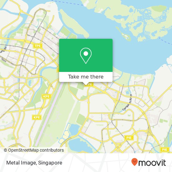 Metal Image, Singapore map