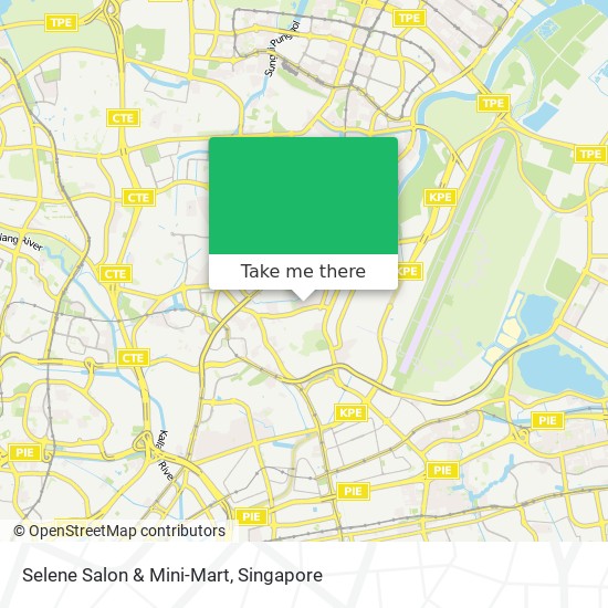 Selene Salon & Mini-Mart地图