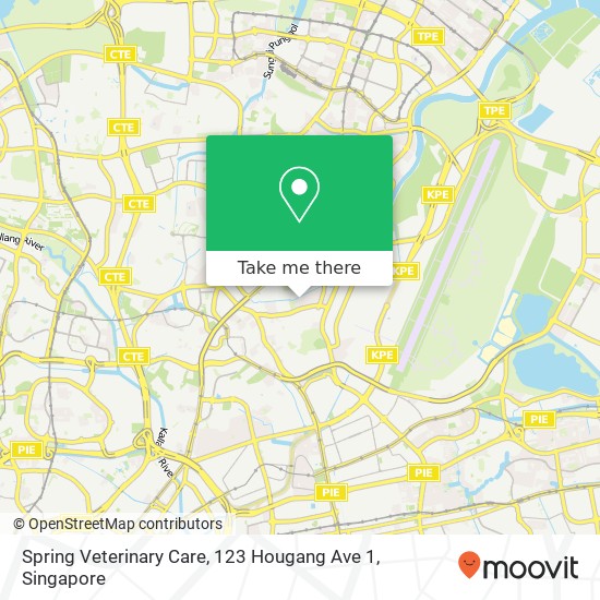 Spring Veterinary Care, 123 Hougang Ave 1 map