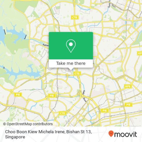 Choo Boon Kiew Michela Irene, Bishan St 13 map