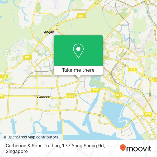 Catherine & Sons Trading, 177 Yung Sheng Rd地图