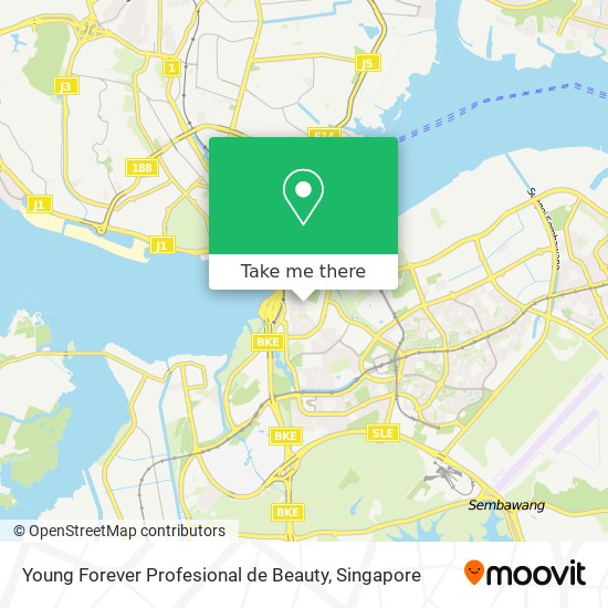 Young Forever Profesional de Beauty map