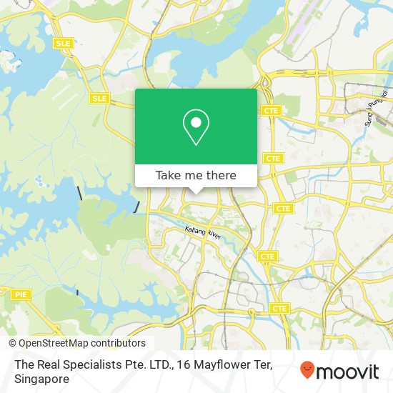 The Real Specialists Pte. LTD., 16 Mayflower Ter map