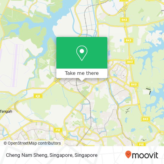 Cheng Nam Sheng, Singapore map