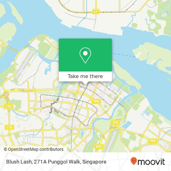 Blush Lash, 271A Punggol Walk地图