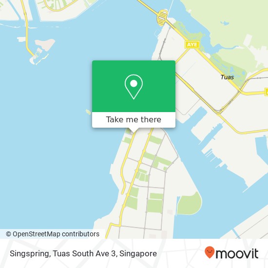 Singspring, Tuas South Ave 3地图