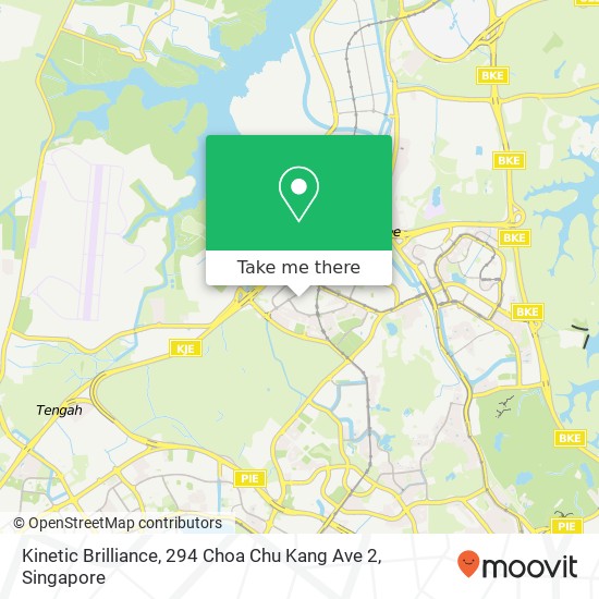 Kinetic Brilliance, 294 Choa Chu Kang Ave 2地图