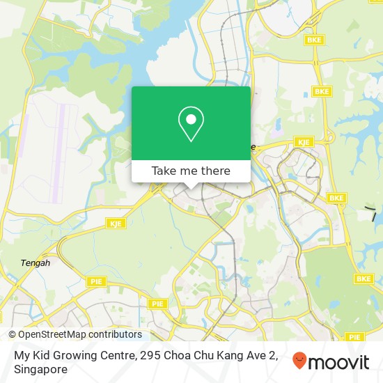 My Kid Growing Centre, 295 Choa Chu Kang Ave 2地图