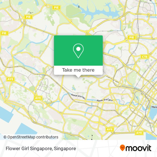 Flower Girl Singapore map