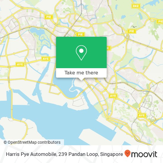 Harris Pye Automobile, 239 Pandan Loop map