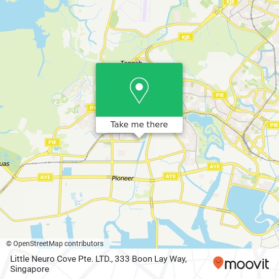 Little Neuro Cove Pte. LTD., 333 Boon Lay Way map