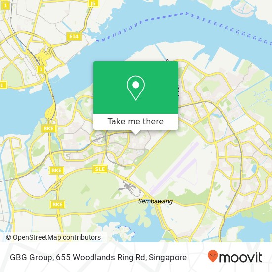 GBG Group, 655 Woodlands Ring Rd地图