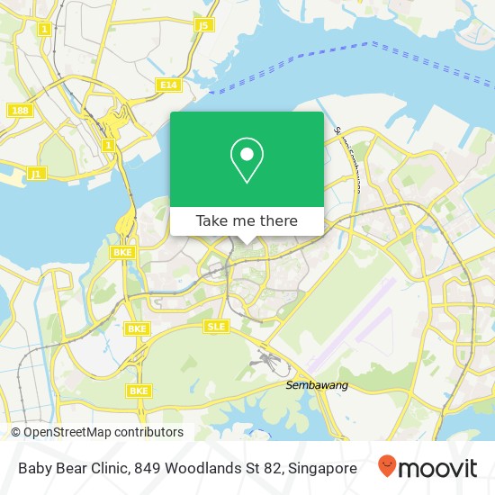 Baby Bear Clinic, 849 Woodlands St 82地图