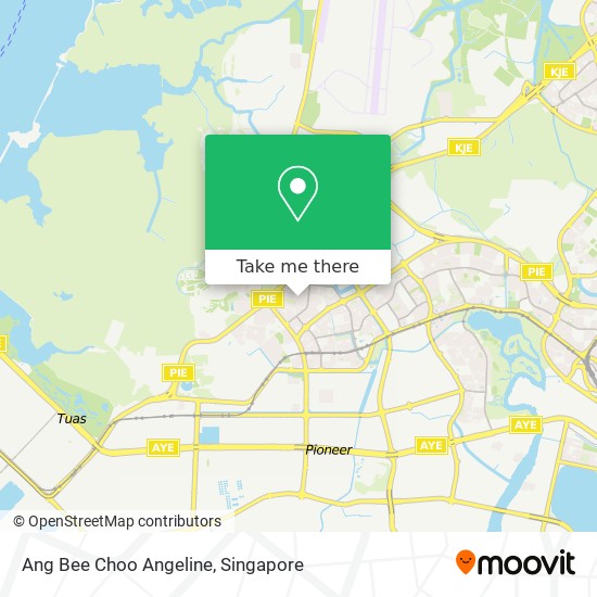 Ang Bee Choo Angeline地图