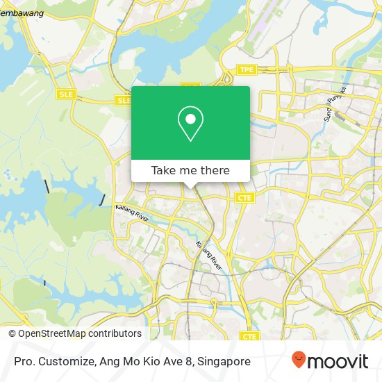 Pro. Customize, Ang Mo Kio Ave 8地图