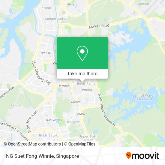 NG Suet Fong Winnie map