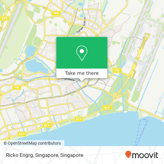 Ricko Engrg, Singapore map