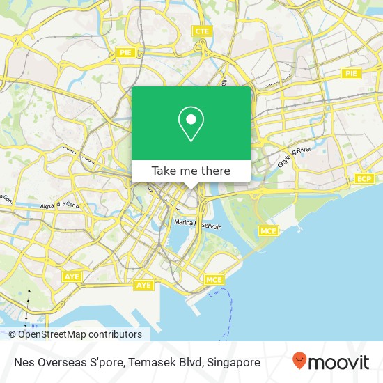 Nes Overseas S'pore, Temasek Blvd map