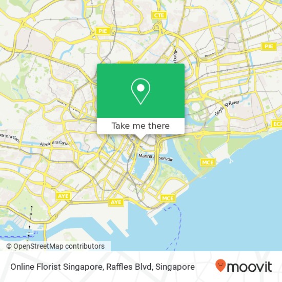 Online Florist Singapore, Raffles Blvd地图