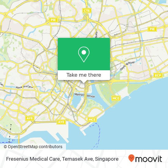 Fresenius Medical Care, Temasek Ave地图