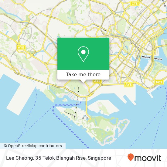 Lee Cheong, 35 Telok Blangah Rise地图