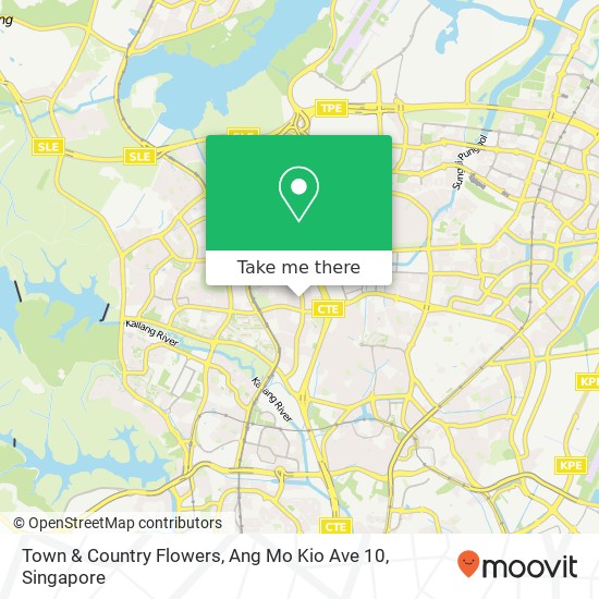 Town & Country Flowers, Ang Mo Kio Ave 10地图