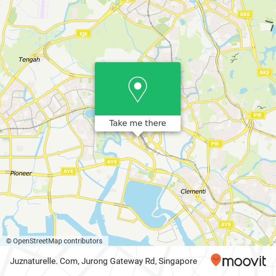 Juznaturelle. Com, Jurong Gateway Rd map
