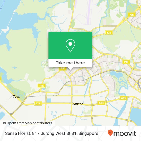 Sense Florist, 817 Jurong West St 81 map