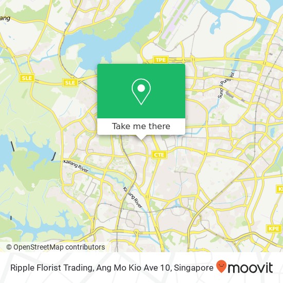 Ripple Florist Trading, Ang Mo Kio Ave 10地图