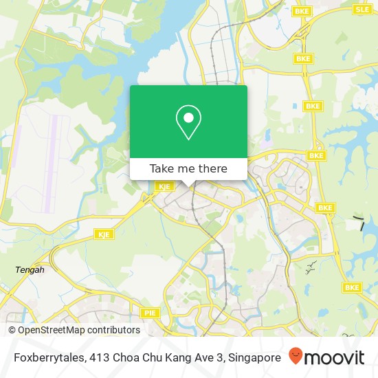 Foxberrytales, 413 Choa Chu Kang Ave 3 map